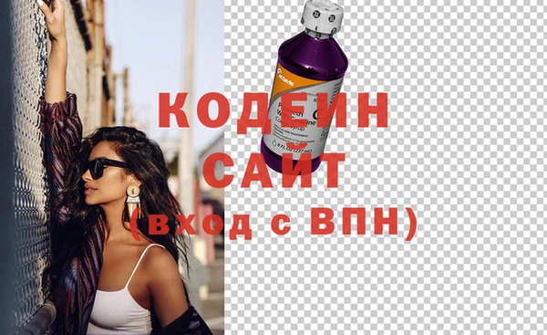 гидра Верхний Тагил