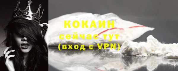 бошки Снежногорск